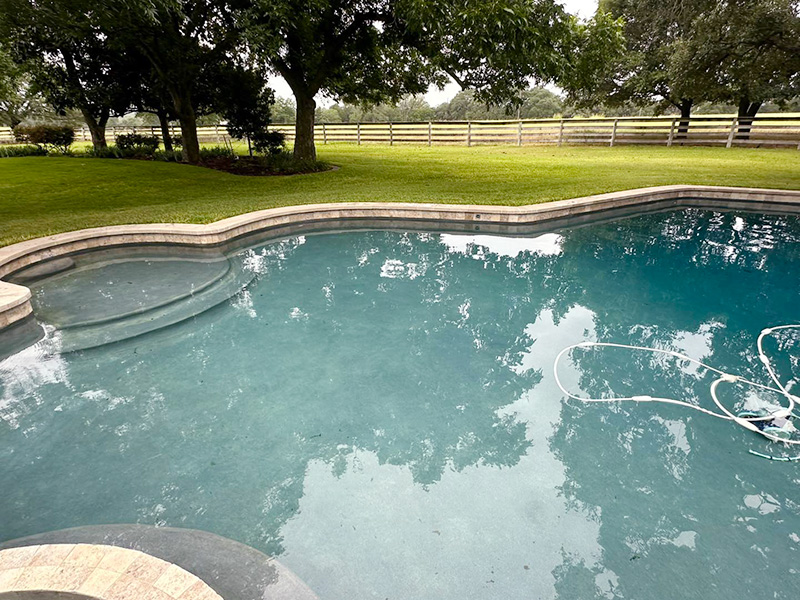 A clear swimming pool surrounded by green grass and trees, with a wooden fence in the background.